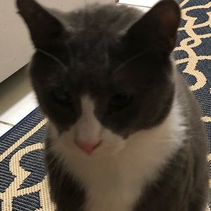 Meet your Posher, Sharon